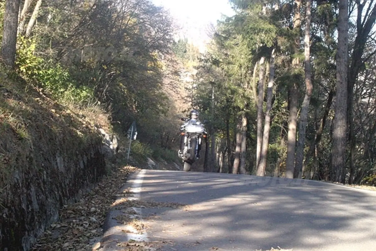 SUZUKI SV 1000 S (25)