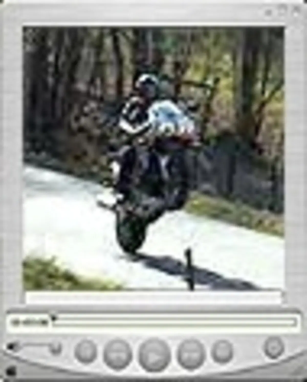 SUZUKI SV 1000 S (30)