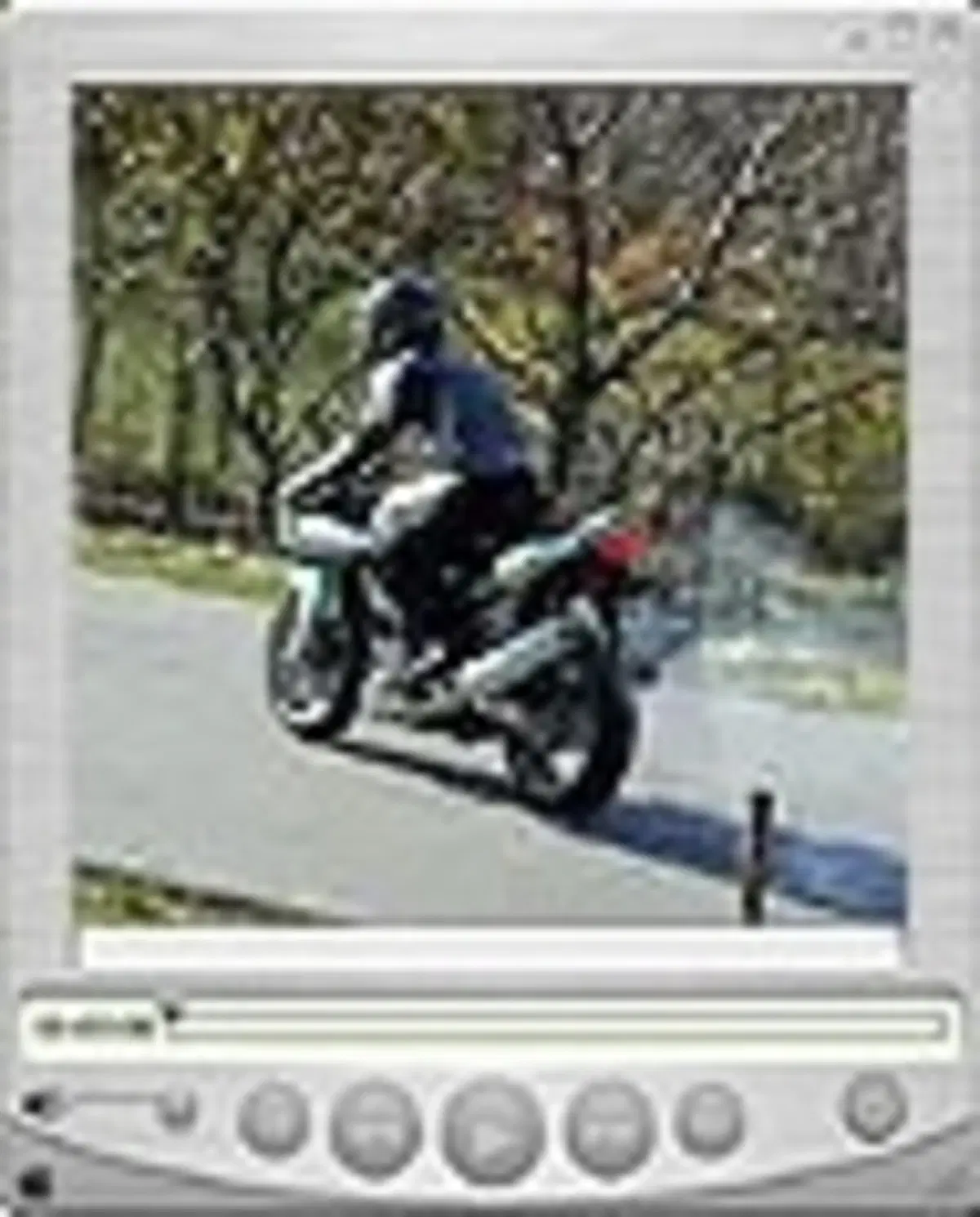 SUZUKI SV 1000 S (31)