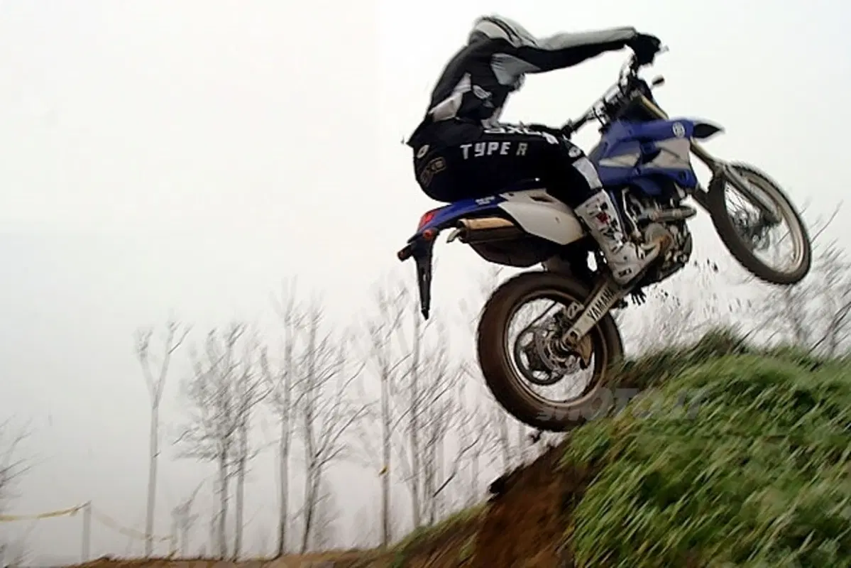 YAMAHA WR 450 F (20)
