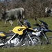 BMW F 650 GS e R 1200 GS