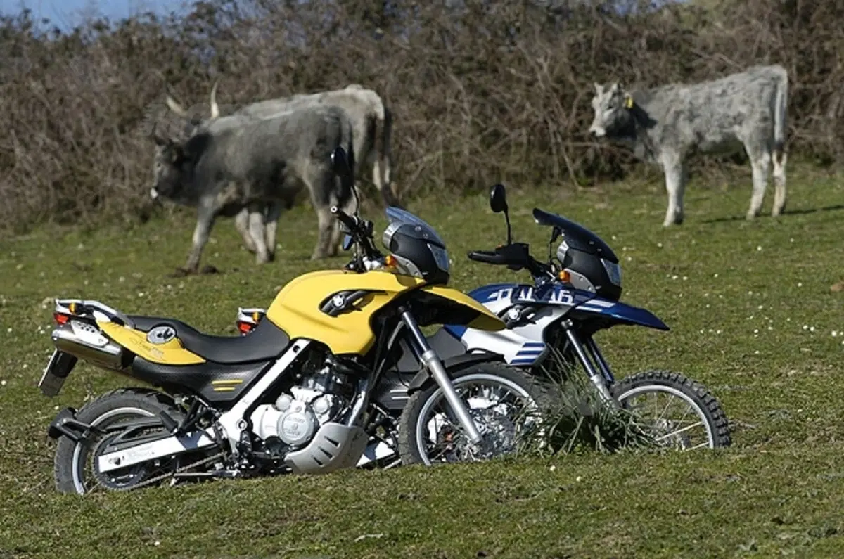 BMW F 650 GS e R 1200 GS (3)