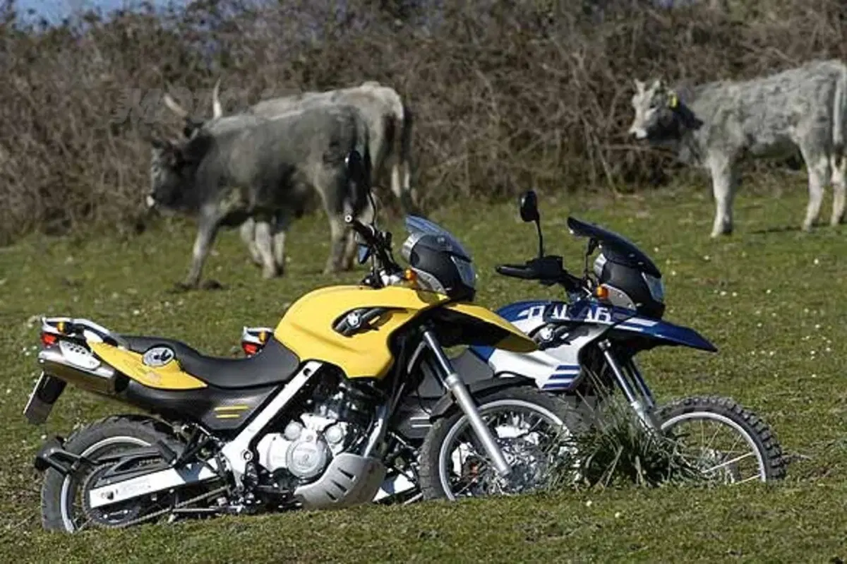 BMW F 650 GS e R 1200 GS (4)