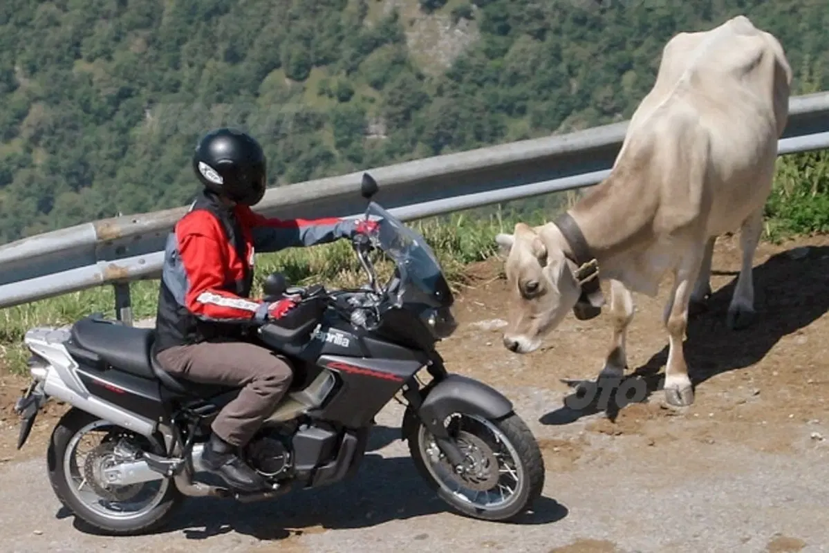 APRILIA ETV 1000 Caponord ABS (17)