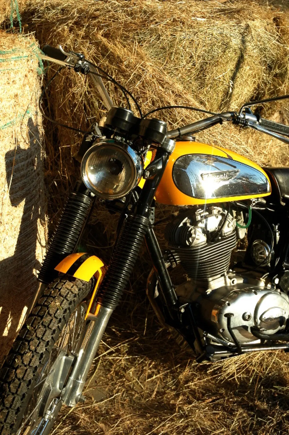 Restaurando fai da te: Ducati Scrambler 250 1972 (3)