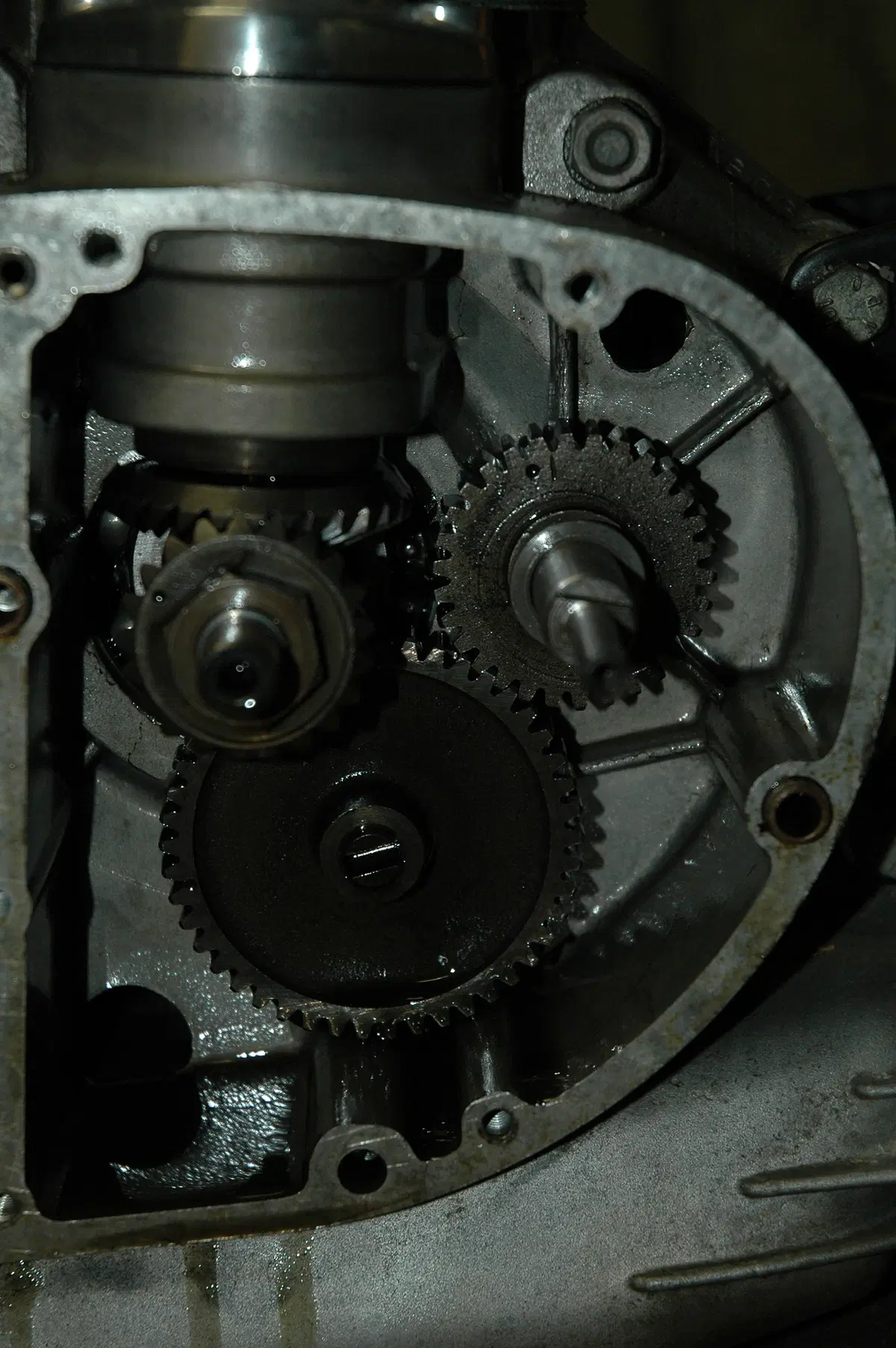 Restaurando fai da te: Ducati Scrambler 250 1972 (72)