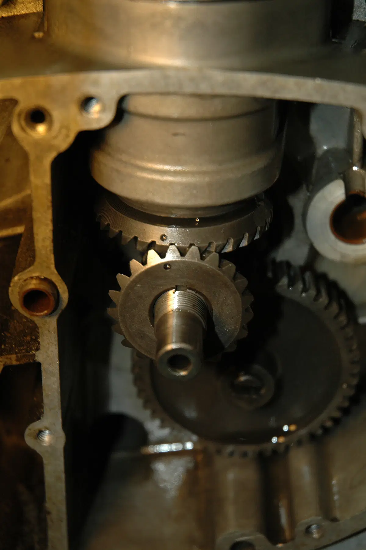 Restaurando fai da te: Ducati Scrambler 250 1972 (82)