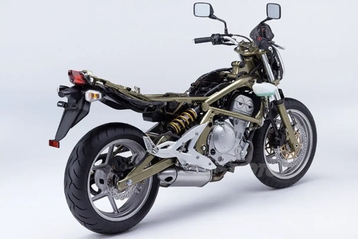 KAWASAKI ER-6n (12)