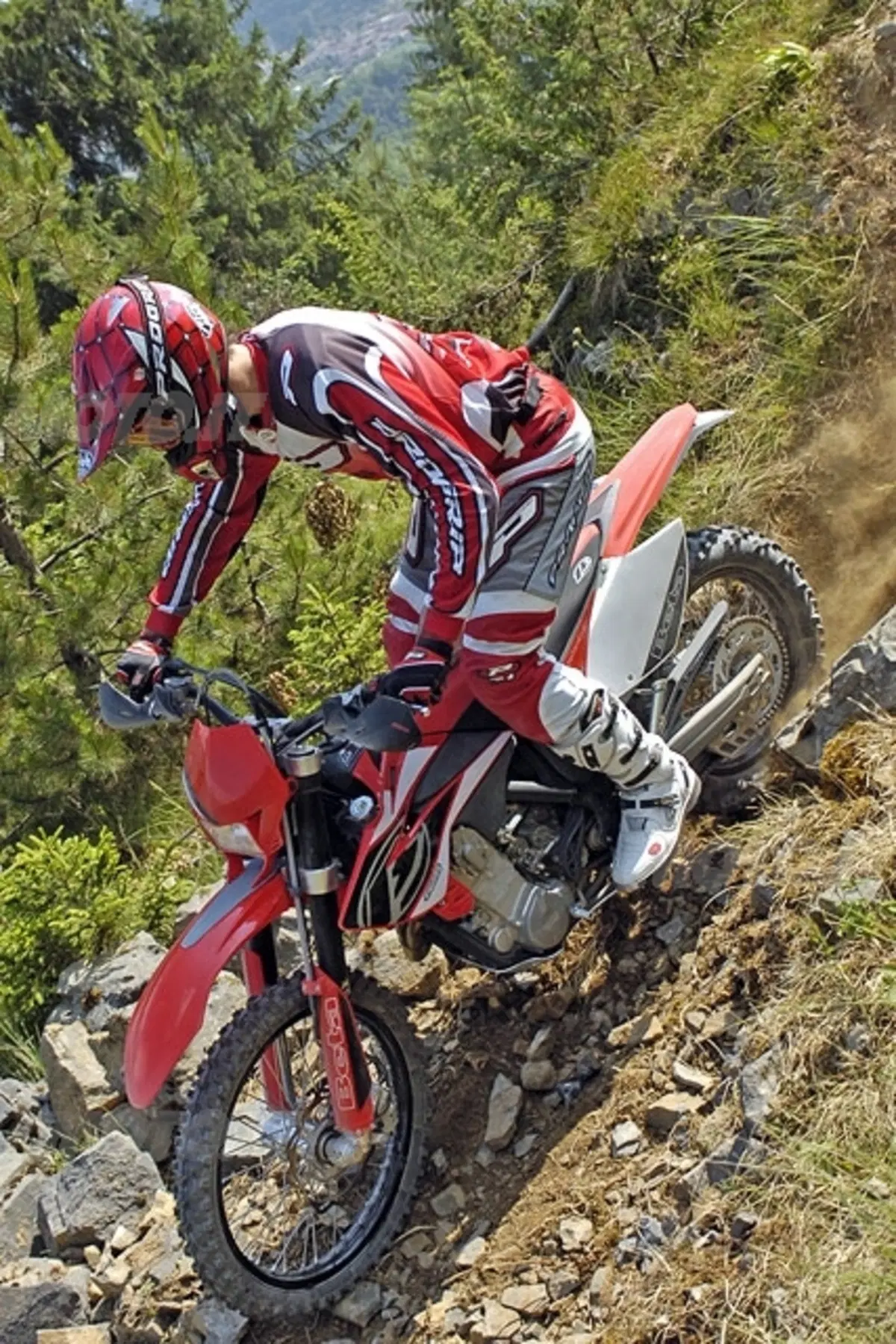 BETA RR 250, RR 400, RR 450, RR 525 (15)
