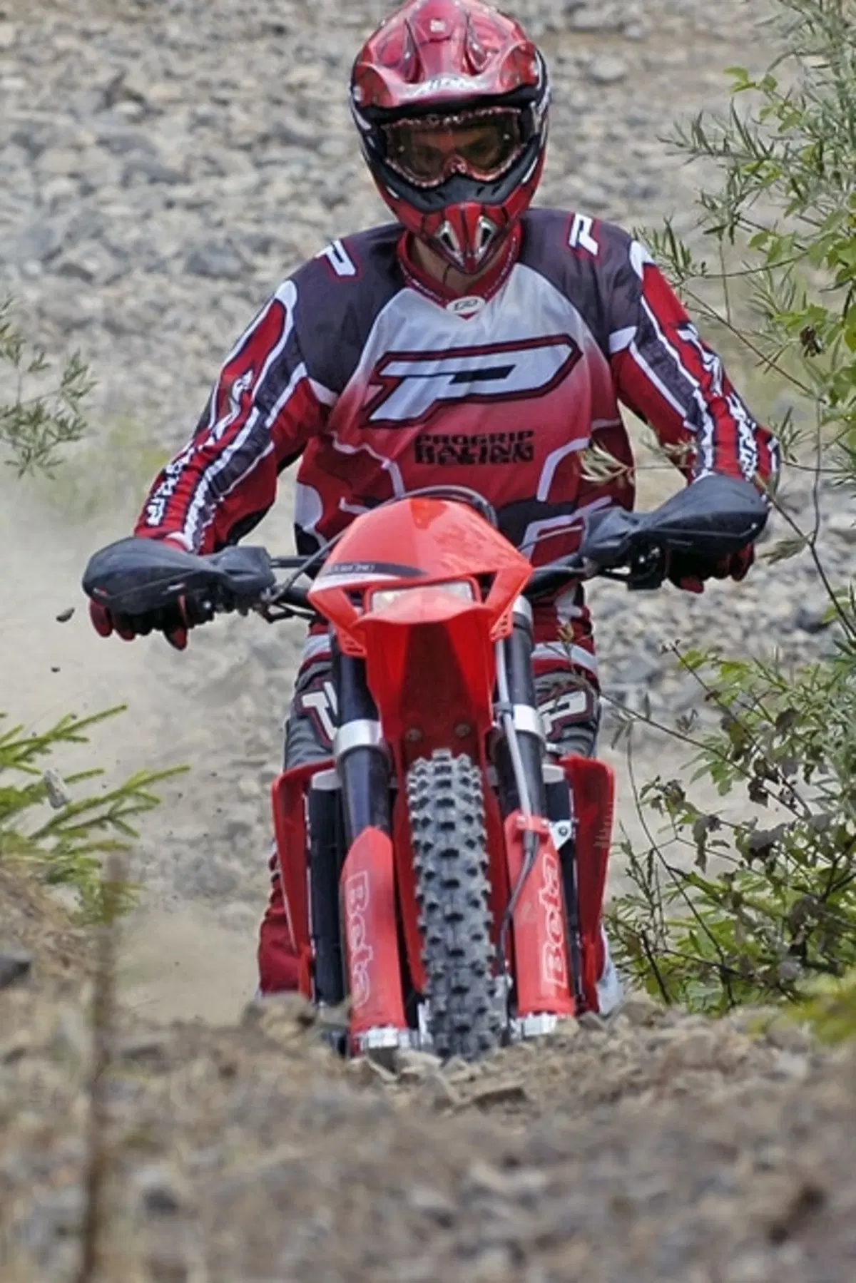 BETA RR 250, RR 400, RR 450, RR 525 (21)