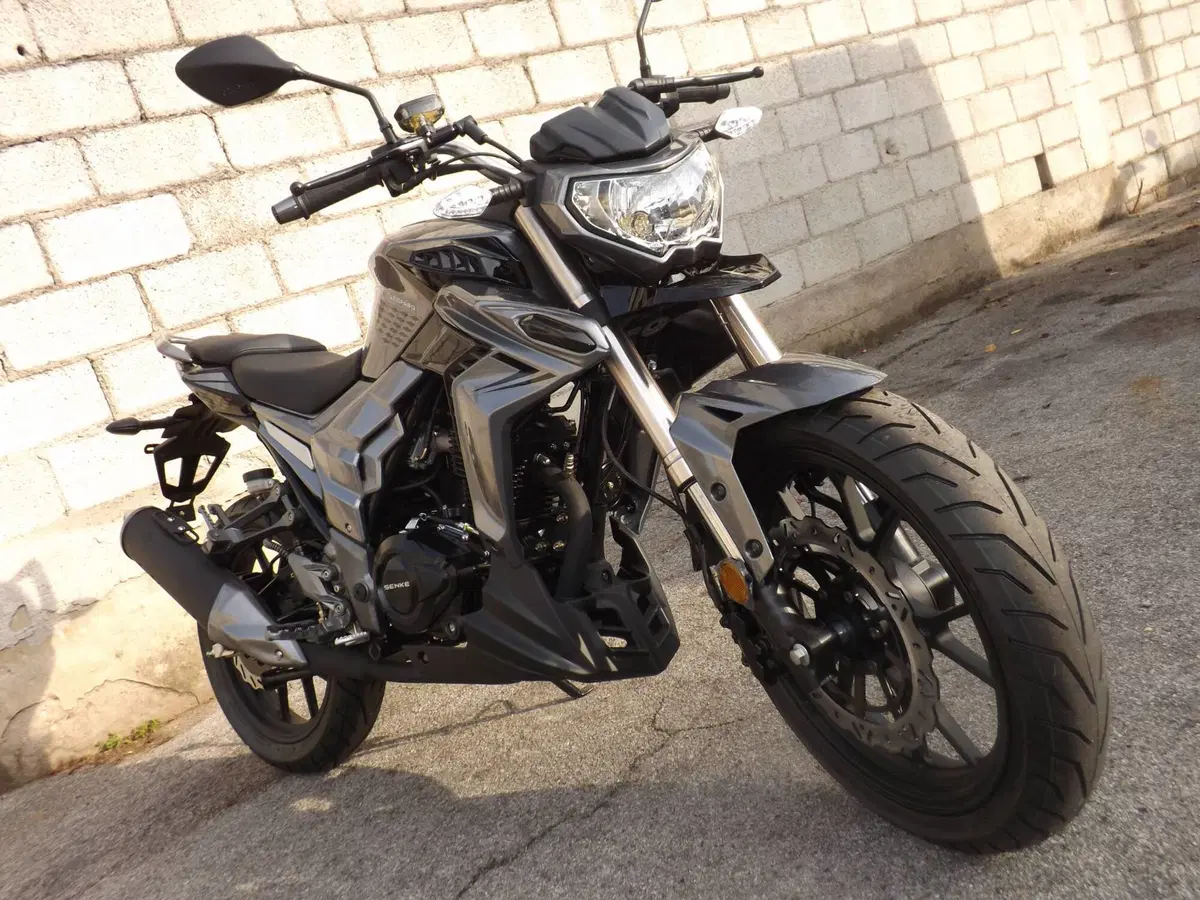 Senke Naked 125 Sport SK (2017 - 20) (4)