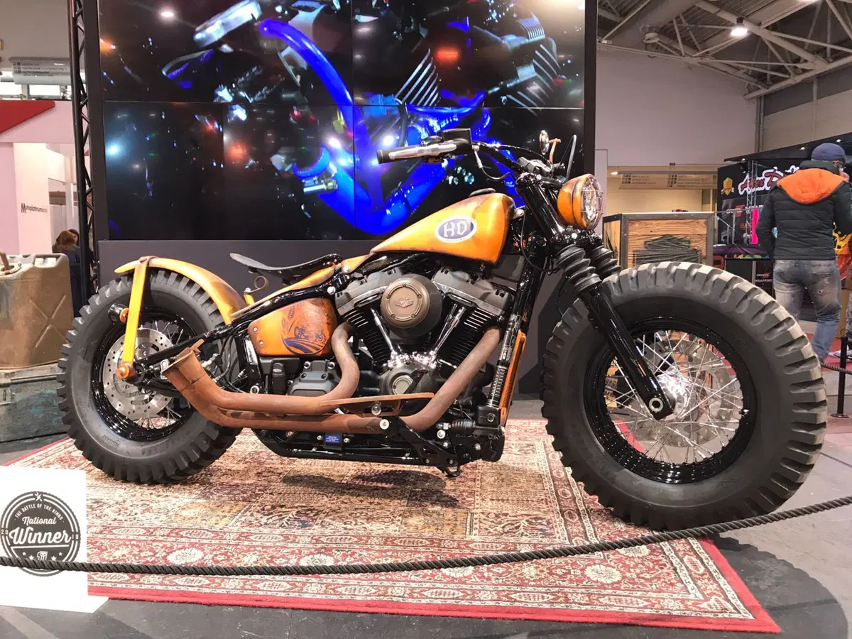 Battle of the Kings: vince H-D Bologna (3)