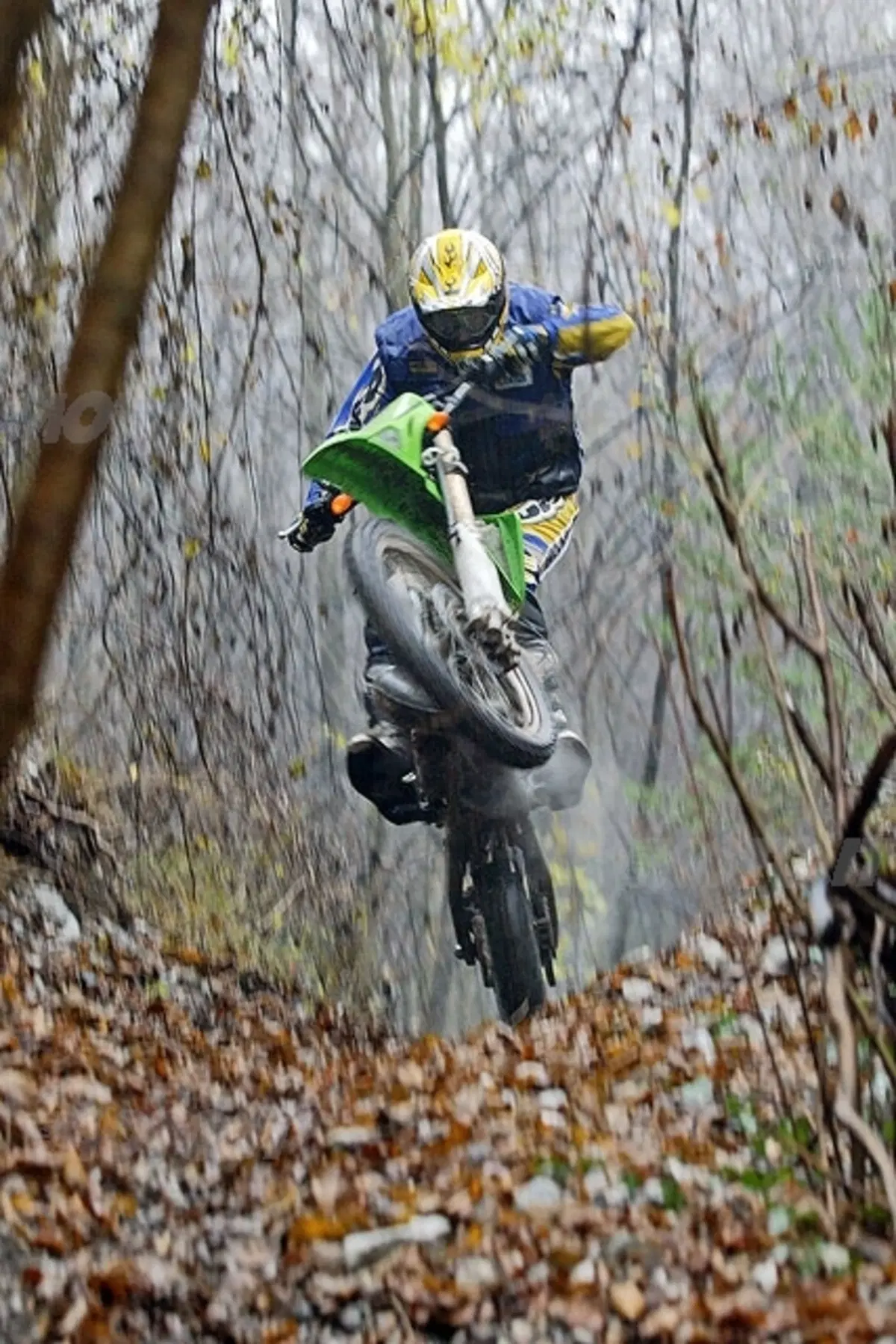 KAWASAKI Gamma Enduro 2007 (14)
