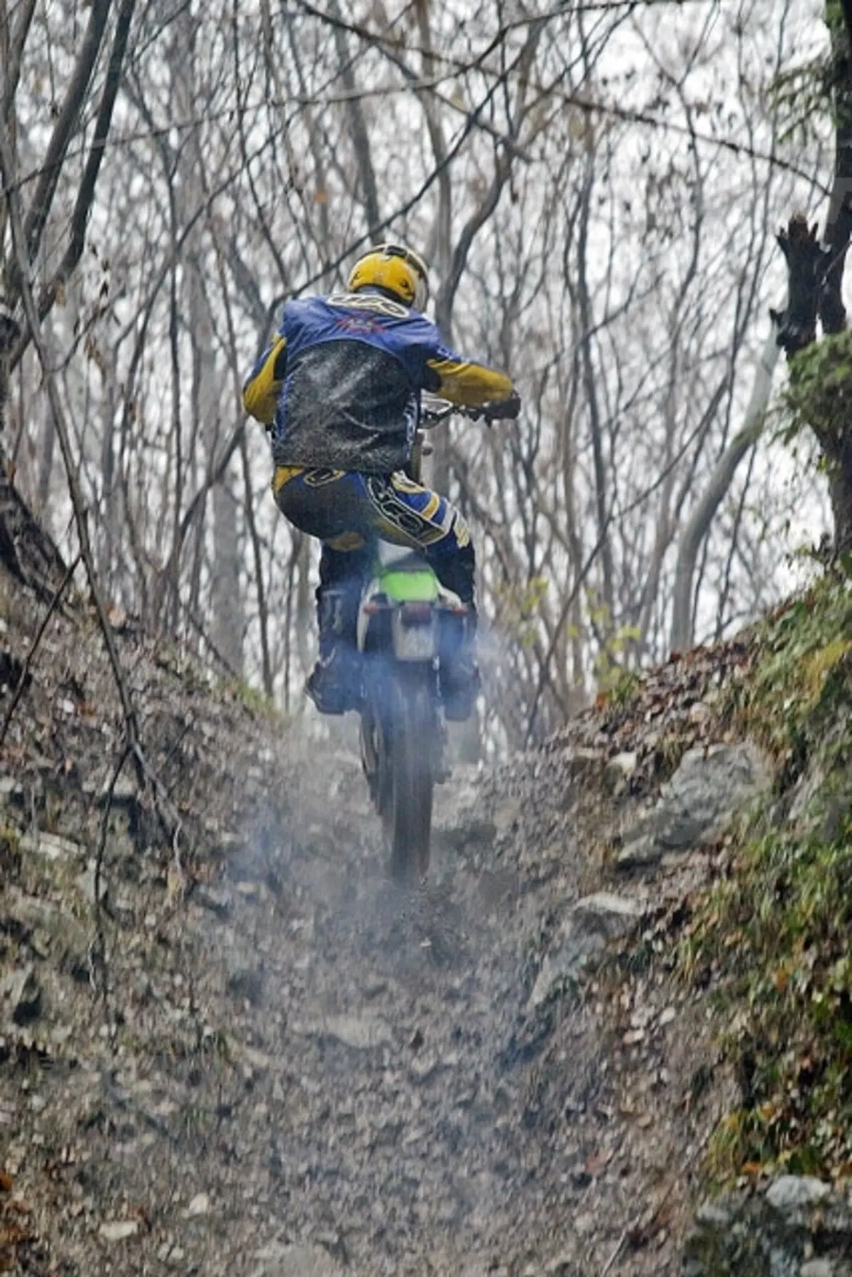 KAWASAKI Gamma Enduro 2007 (16)