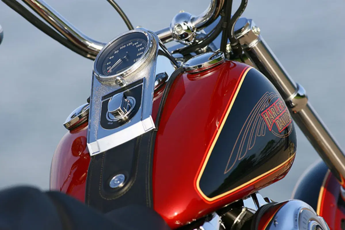 HARLEY DAVIDSON Gamma 2007 (7)
