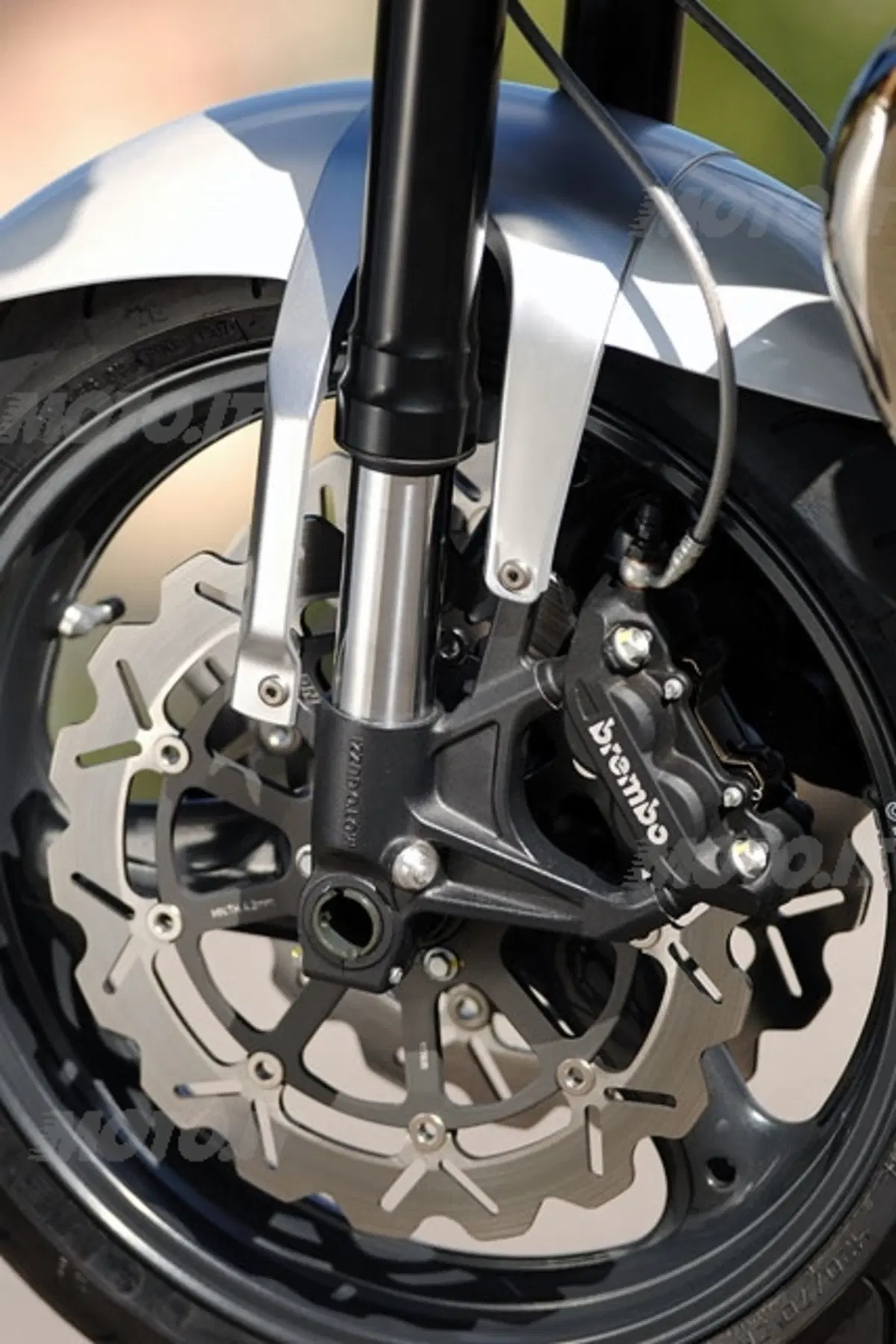 MOTO GUZZI Griso 8V (6)