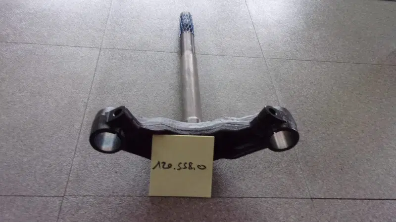 PIANTONE FORCELLA MALAGUTI F12