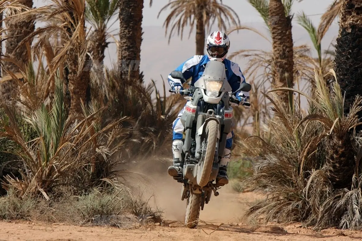 YAMAHA XT 660 Z Ténéré (13)