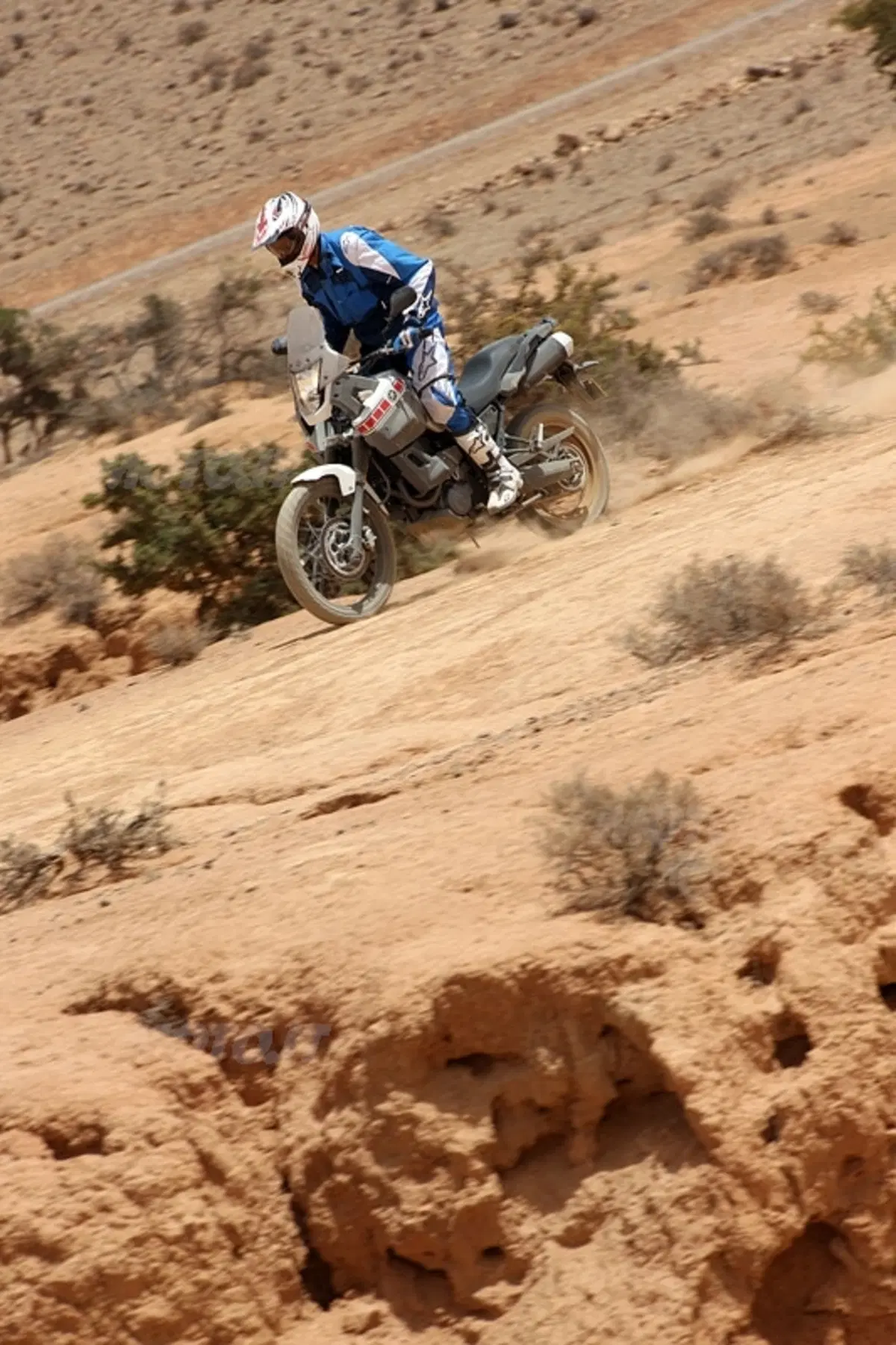 YAMAHA XT 660 Z Ténéré (18)