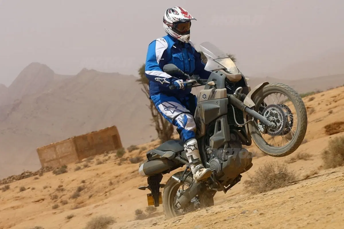 YAMAHA XT 660 Z Ténéré (21)