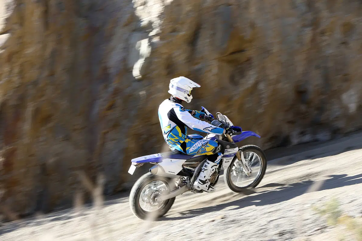 Yamaha WR 450 F 2016 (3)
