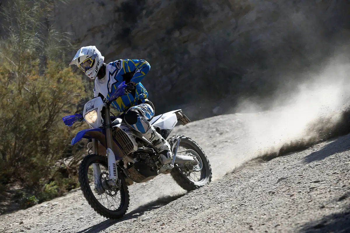 Yamaha WR 450 F 2016 (8)
