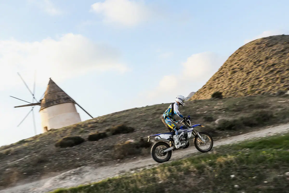 Yamaha WR 450 F 2016 (9)