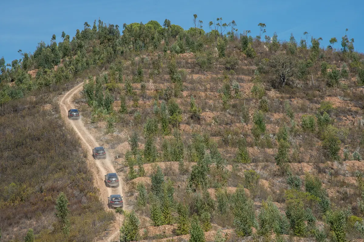 BMW R1200GS e X5 4.0d: la strana coppia in fuoristrada (7)