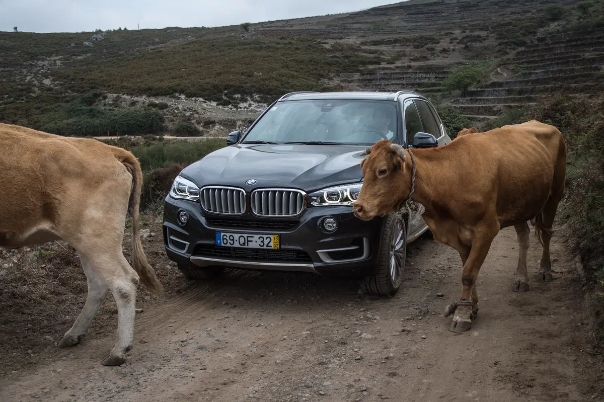 BMW R1200GS e X5 4.0d: la strana coppia in fuoristrada (9)