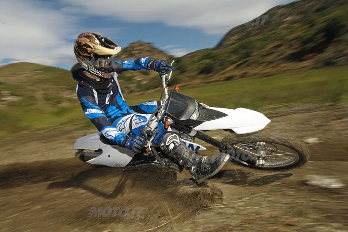 BMW G 450 X (10)