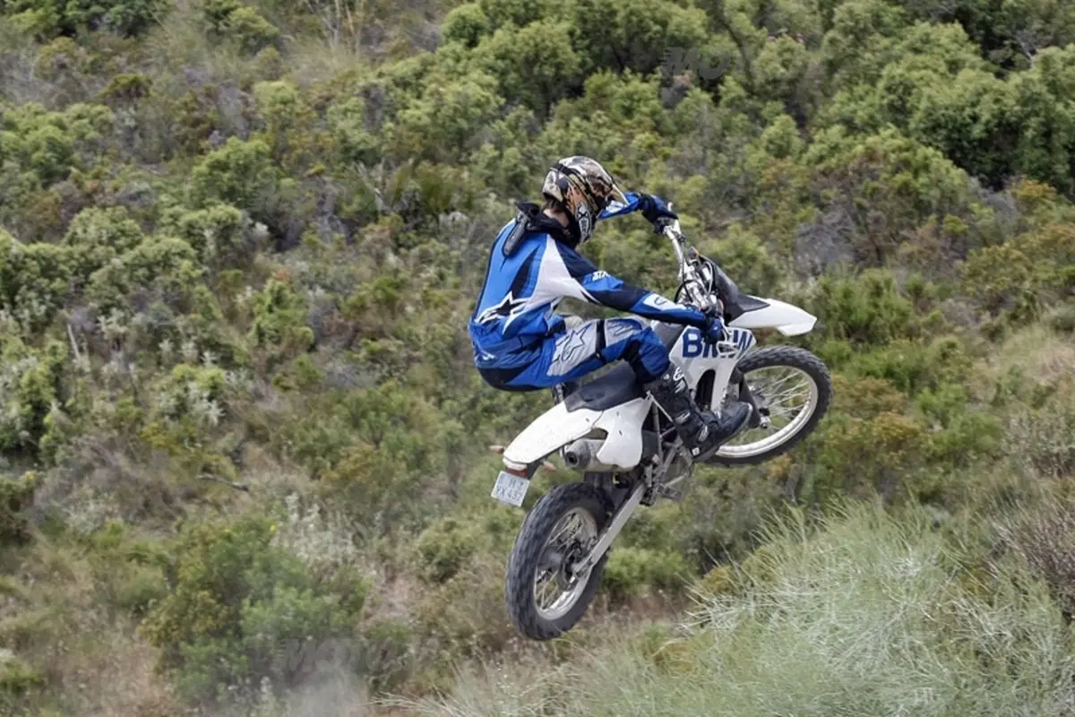 BMW G 450 X (11)