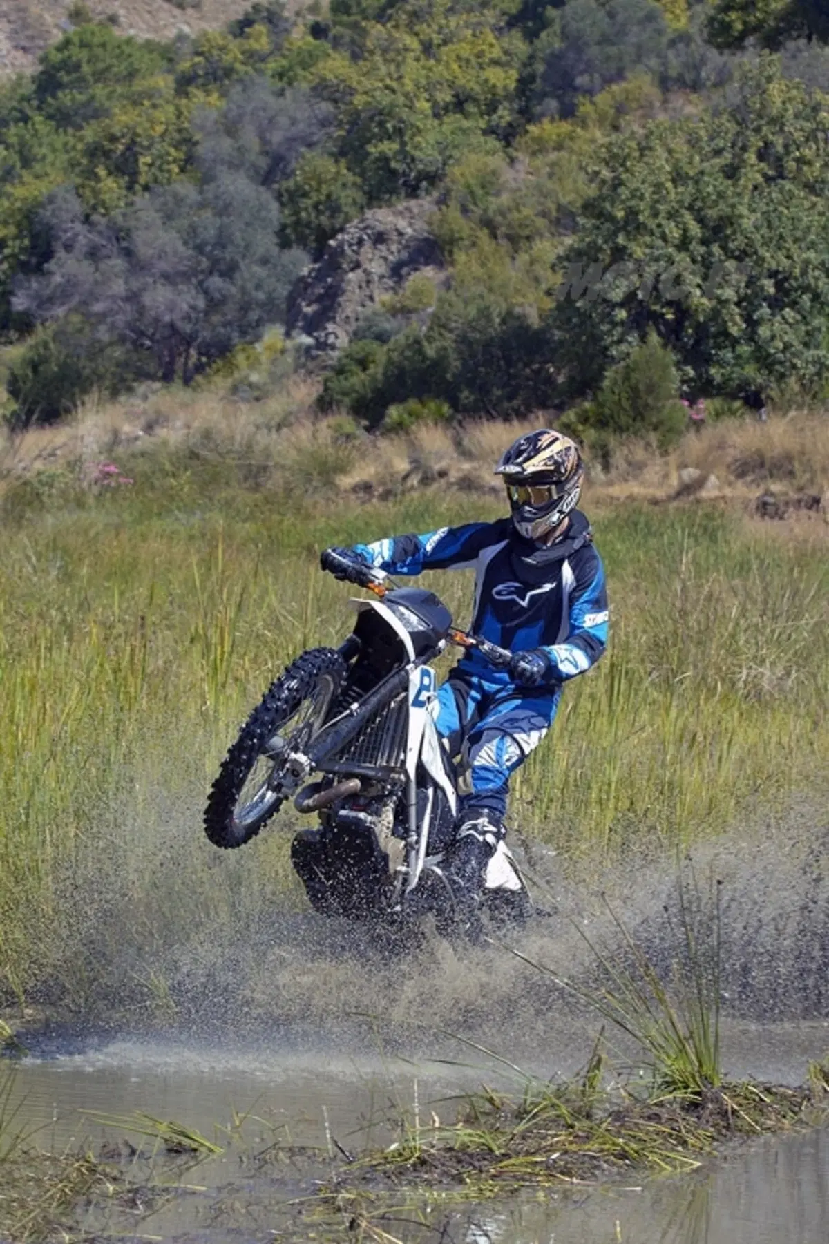 BMW G 450 X (12)