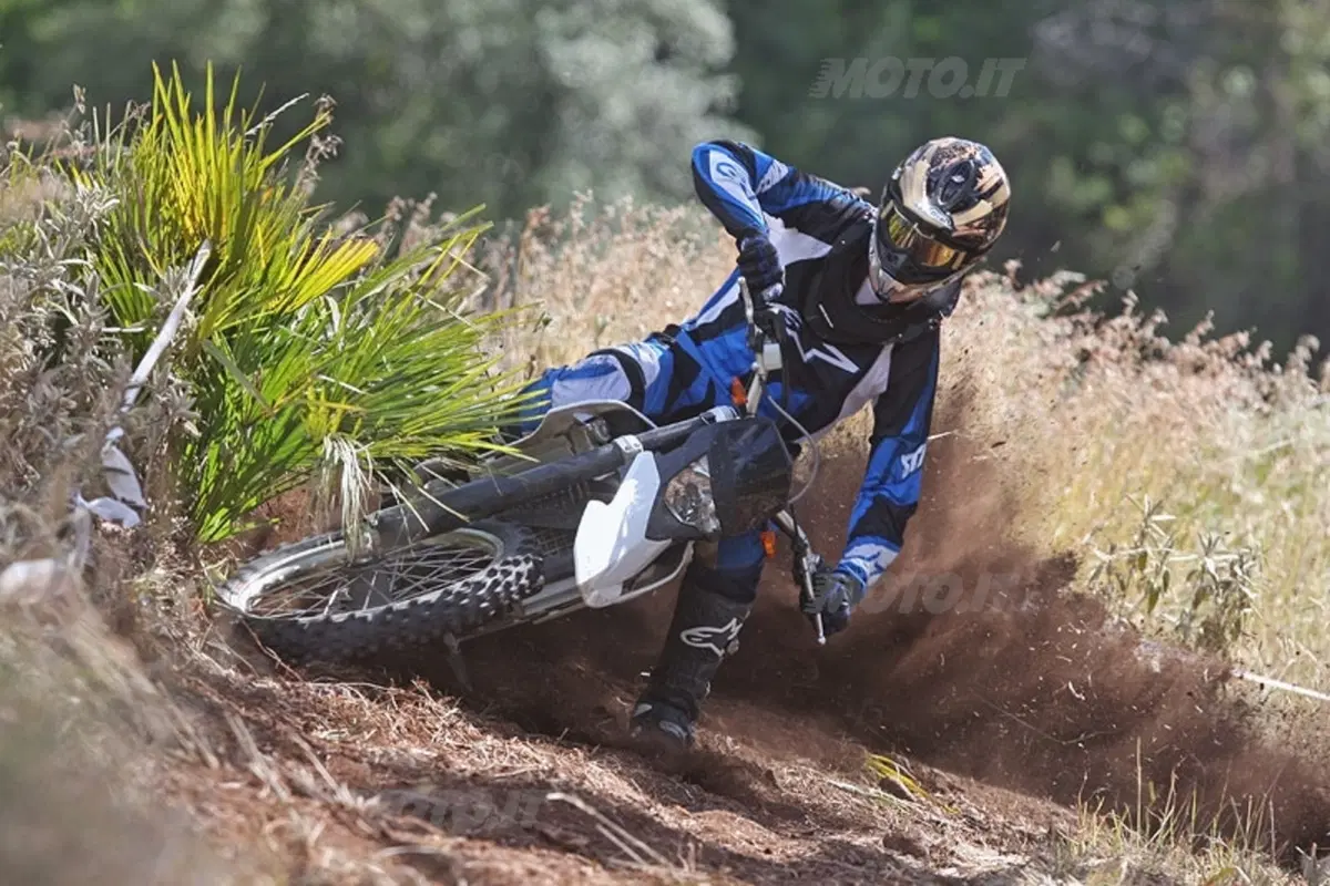 BMW G 450 X (13)