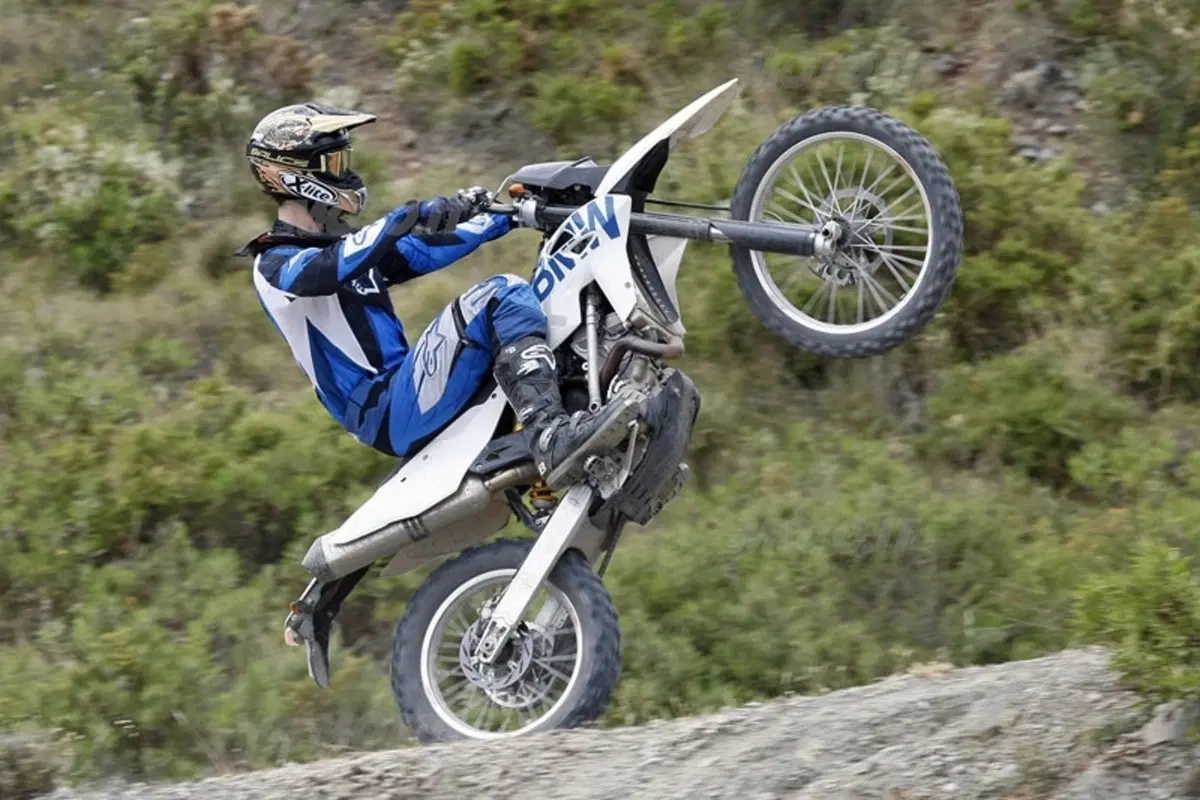 BMW G 450 X (14)