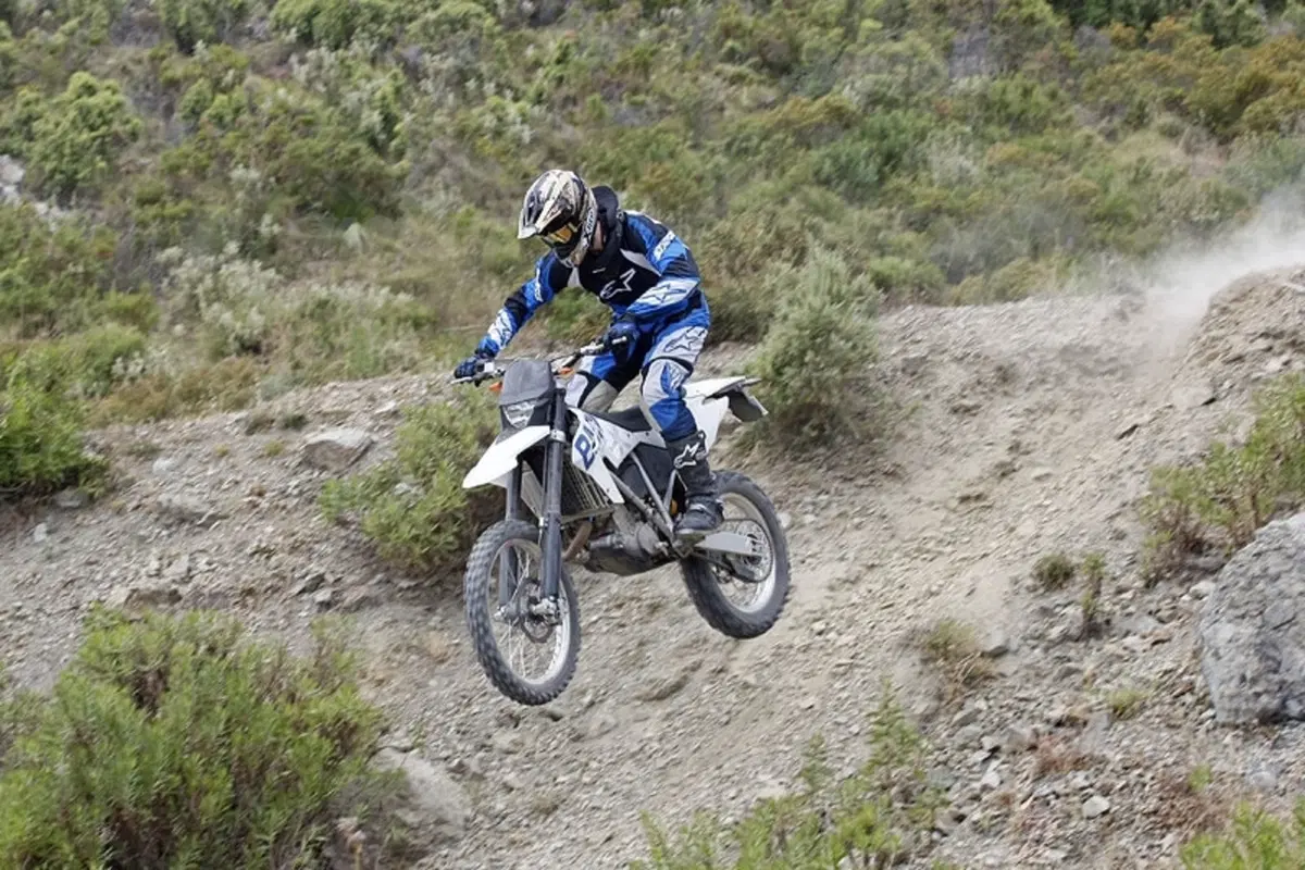 BMW G 450 X (15)