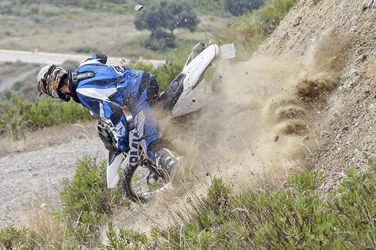 BMW G 450 X (16)