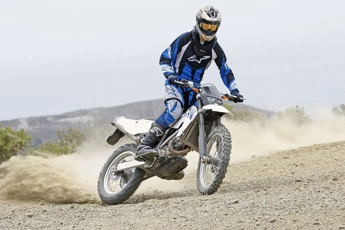 BMW G 450 X (17)
