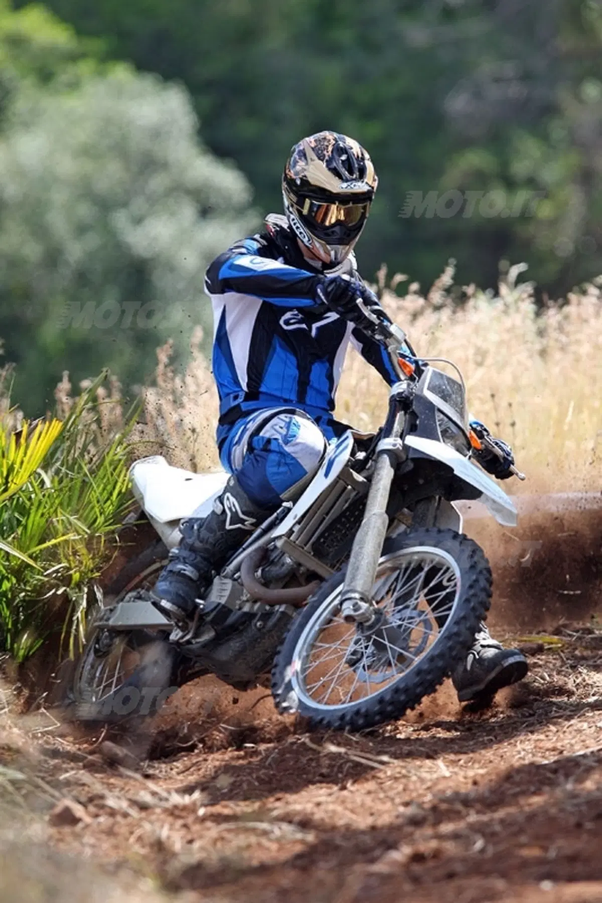 BMW G 450 X (18)