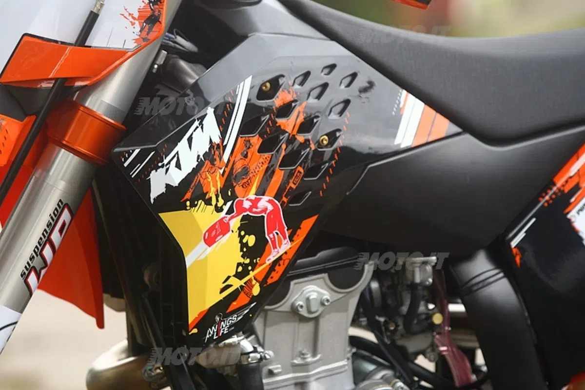 KTM Gamma Off-road 2009 (4)