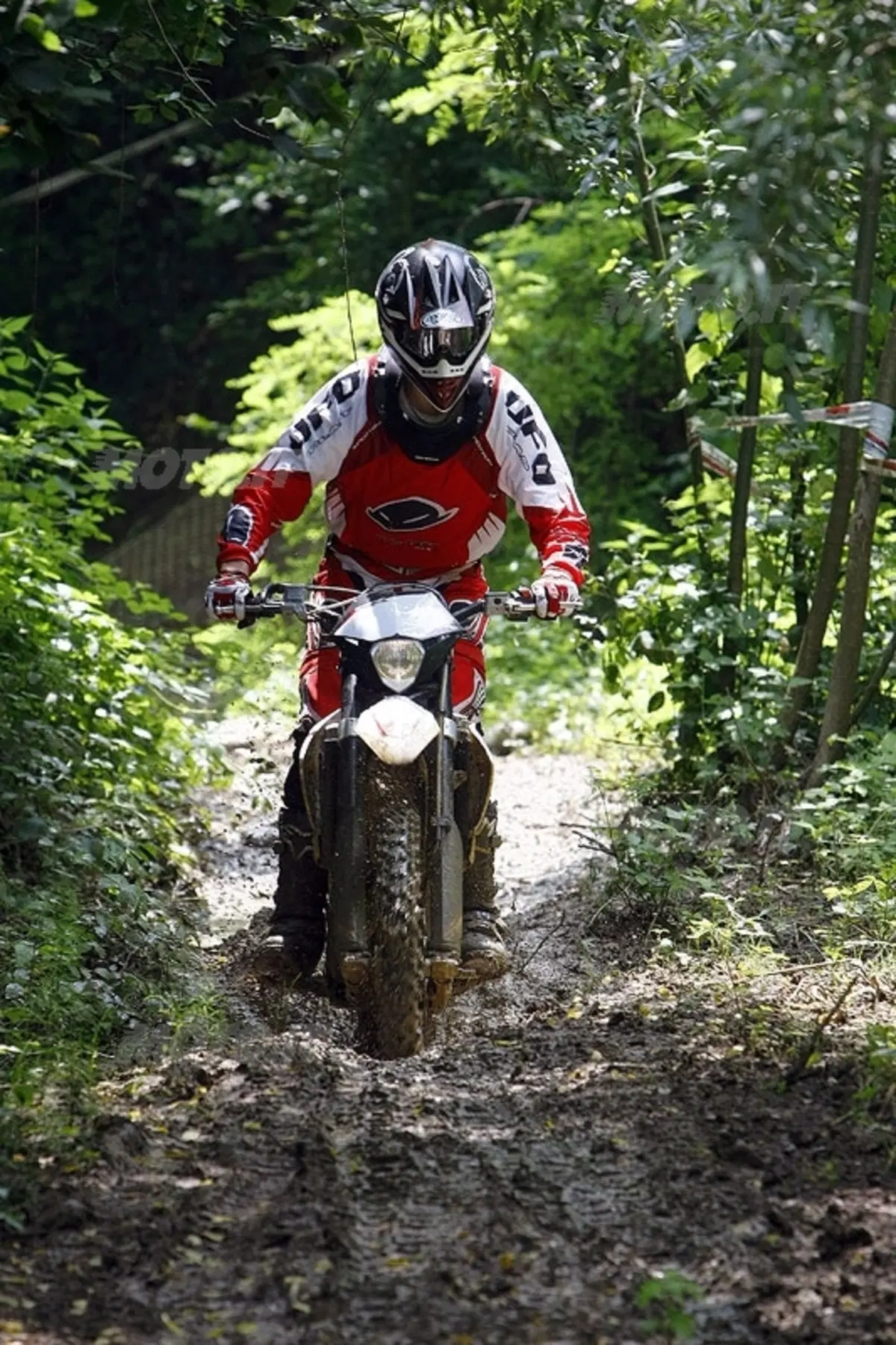 BETAMOTOR RR Enduro 2009 (9)