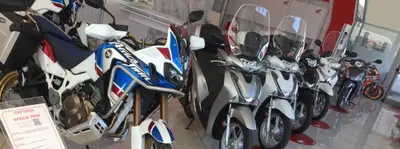 Ricci Due Moto 