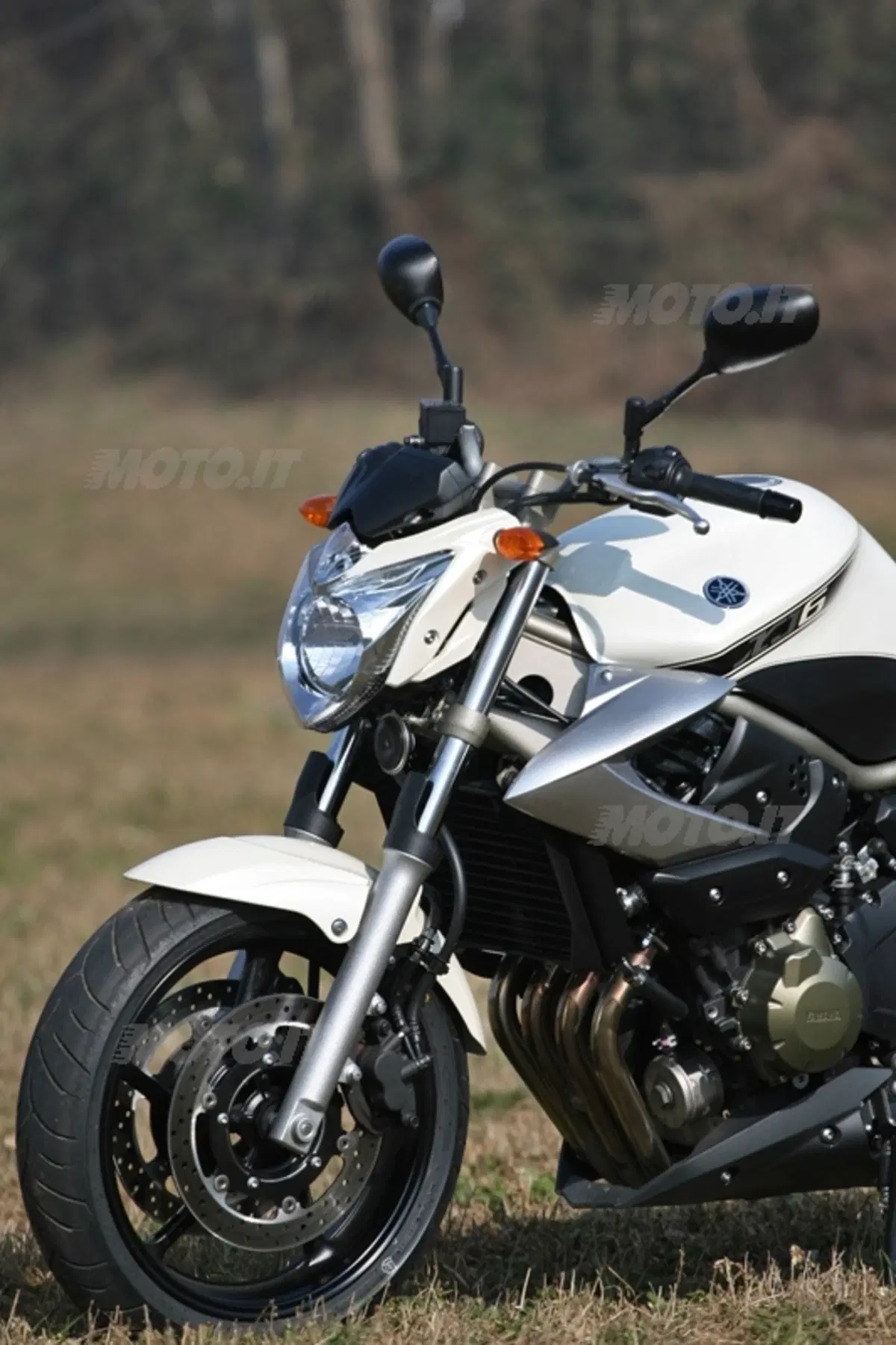 YAMAHA XJ6 (11)