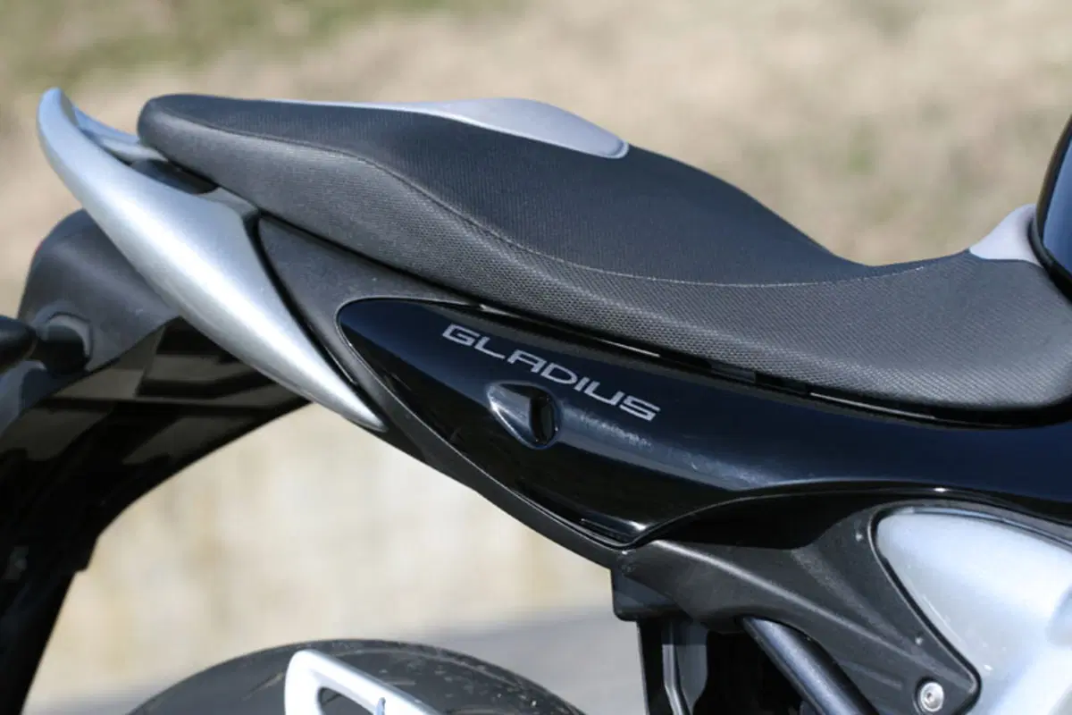 SUZUKI Gladius 650 (7)