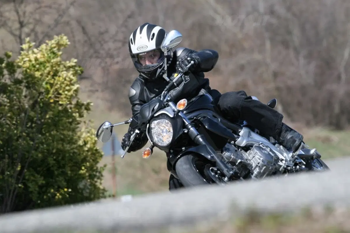 SUZUKI Gladius 650 (9)