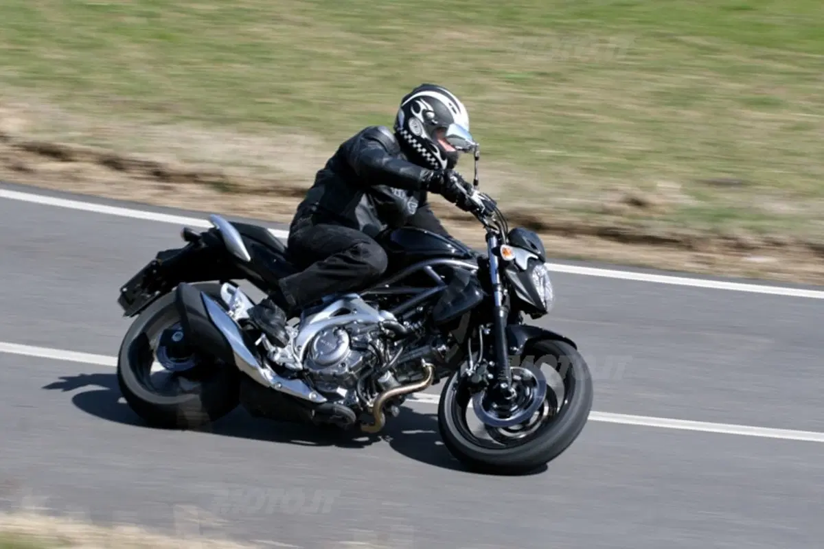 SUZUKI Gladius 650 (13)