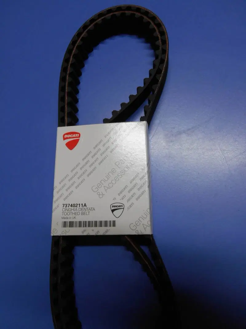 Cinghie Distribuzione Monster 1100 - 73740211A Ducati