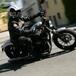 HARLEY-DAVIDSON Sportster Iron 883