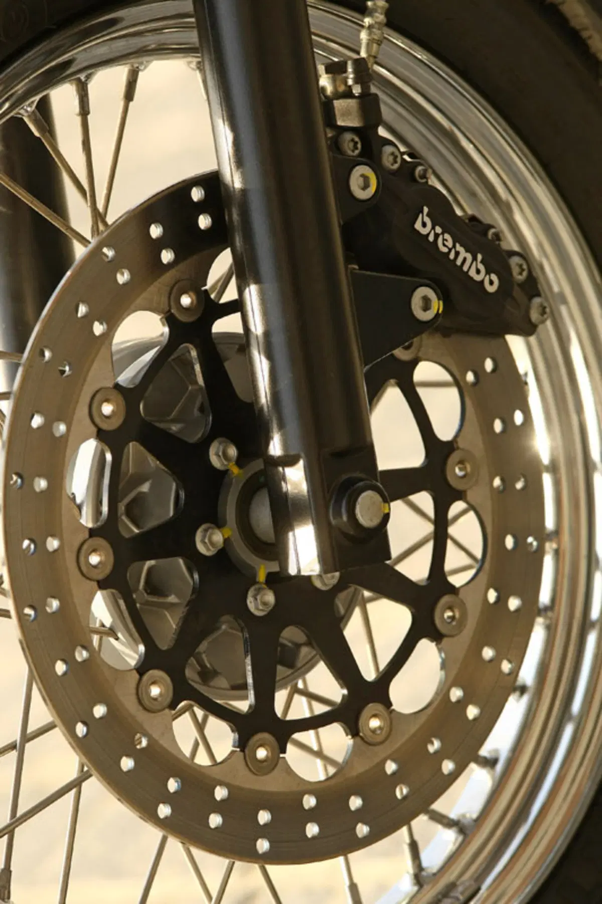 MOTO GUZZI V7 Cafè Classic  (7)