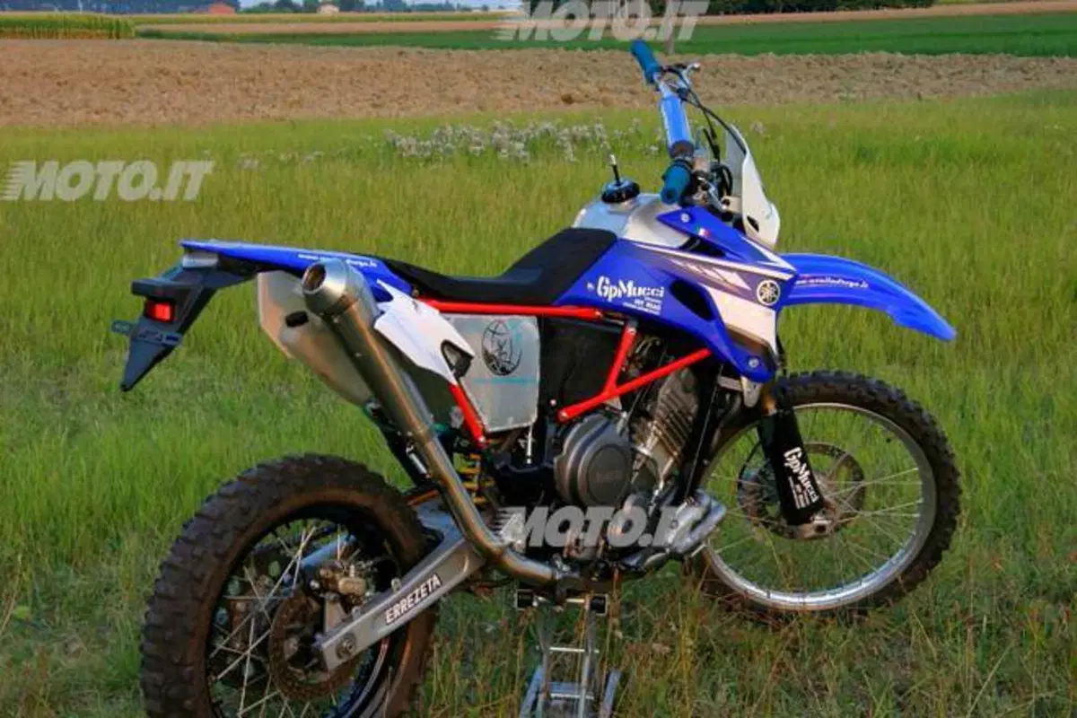 Le Strane di Moto.it: Yamaha XTZ SuperTénéré 750 Ghepardo