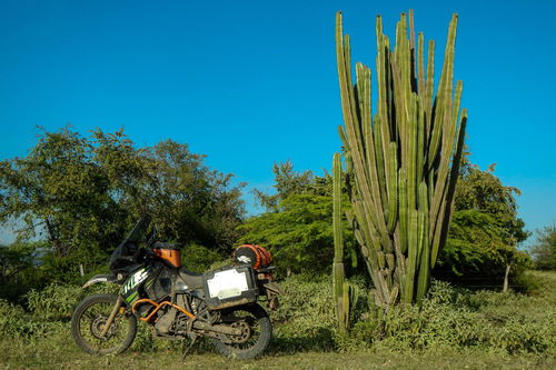 Ride in the USA. Kawasaki KLR650, la moto da giro del mondo (6)